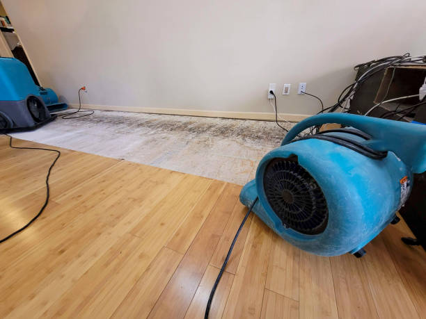 Professional Basement Flood Cleanup technician working in West Salem, WI